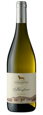 Sauvignon Blanc Fumat DOC Collio