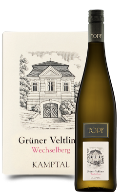 Grüner Veltliner Ried Wechselberg DAC